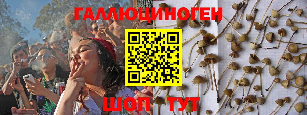 Псилоцибиновые грибы GOLDEN TEACHER  Псилоцибиновые грибы мухоморы  Северодвинск  Вход с VPN 